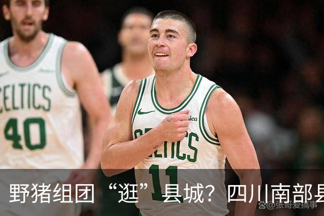 野猪组团“逛”县城？四川南部县：内容属实，不是AI
